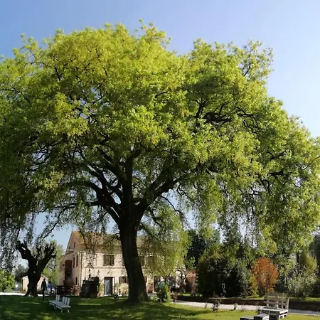 Tenuta Del Viandante 4*