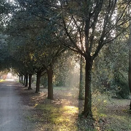 Tenuta Del Viandante Filottrano