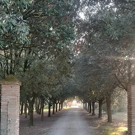 Tenuta Del Viandante 4* Filottrano