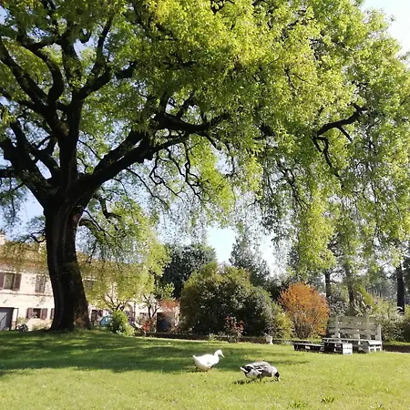 Tenuta Del Viandante