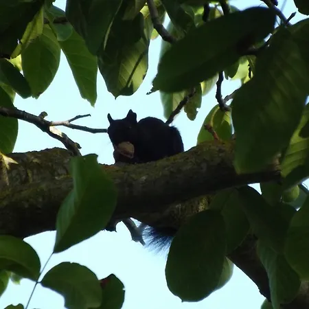 Apartmanhotel Tenuta Del Viandante Filottrano